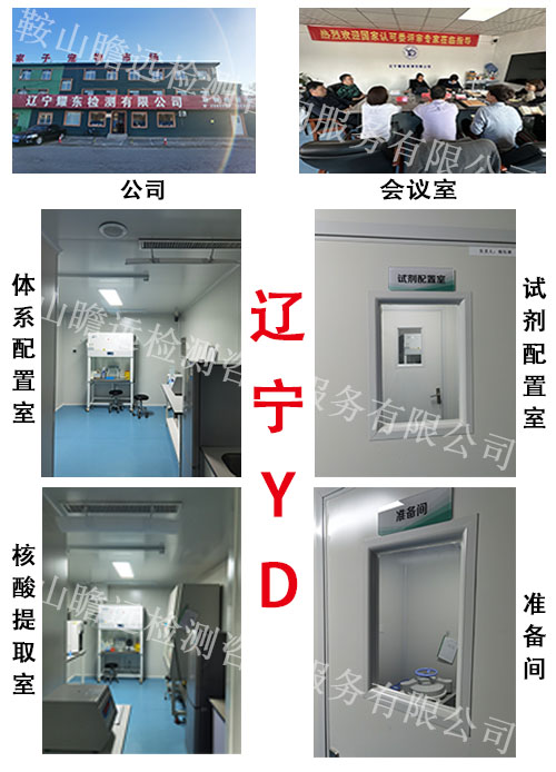 &#108;&#101;&#121;&#117;